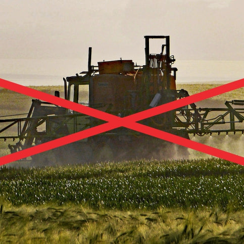 Stoffe unter der Lupe – Glyphosat? Nein Danke!