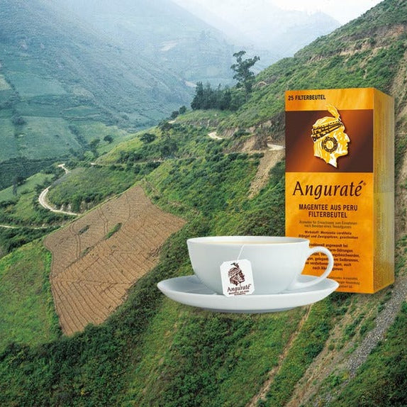 Magentee aus Peru: Anguraté