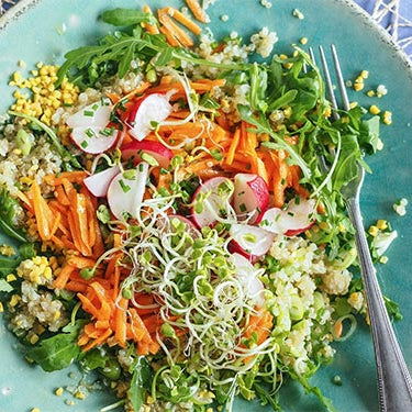 Rezepte für einen gesunden Darm
