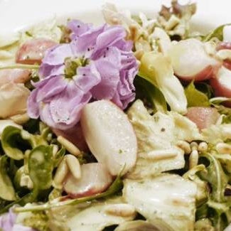 Wildkräutersalat mit Ziegenkräuterkäsedressing