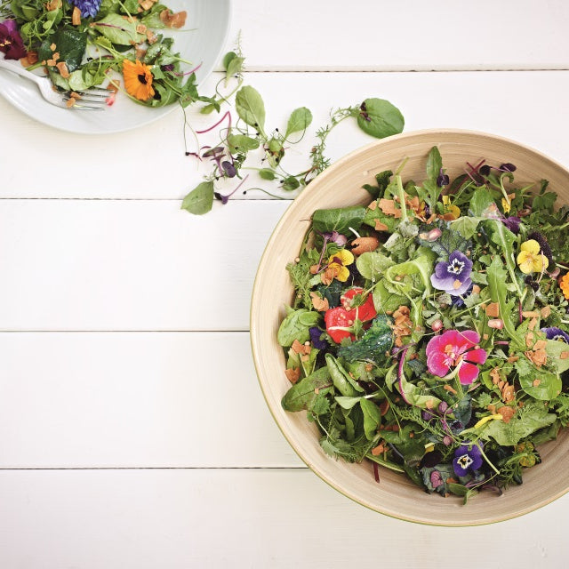 Wildkräutersalat und Matcha-Dressing