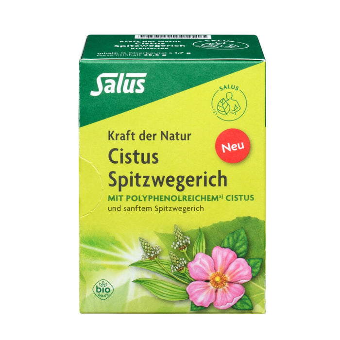 Salus - Kraft der Natur Cistus Spitzwegerich Tee bio, 15 FB