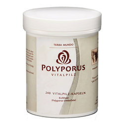 Terra Mundo - Polyporus Bio Vitalpilz Kapseln, 240 Kaps