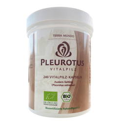 Terra Mundo - Pleurotus Vitalpilz Kapseln, 240 Kaps