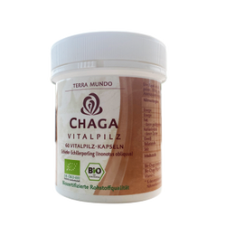 Terra Mundo - Chaga Vitalpilz Kapseln, 60 Kaps