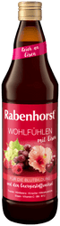 Rabenhorst - Wohlfühlen mit Eisen 700ml